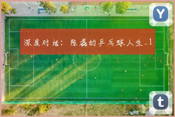 深度对话：陈磊的乒乓球人生_1