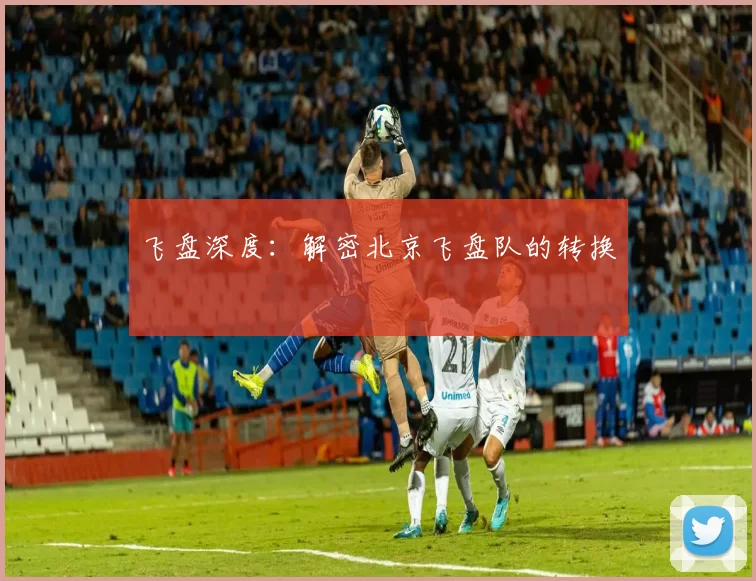 飞盘深度：解密北京飞盘队的转换