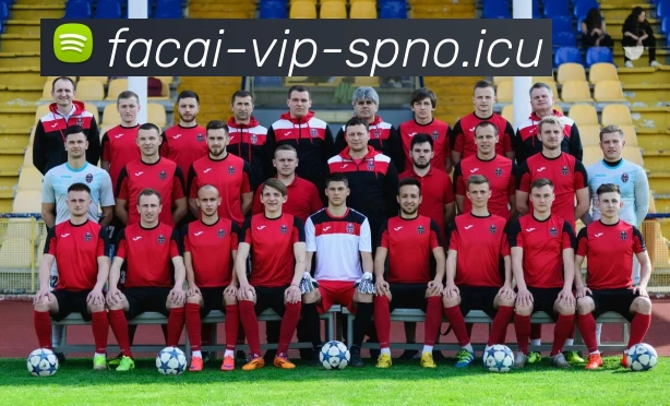 开云体育注册服务体系